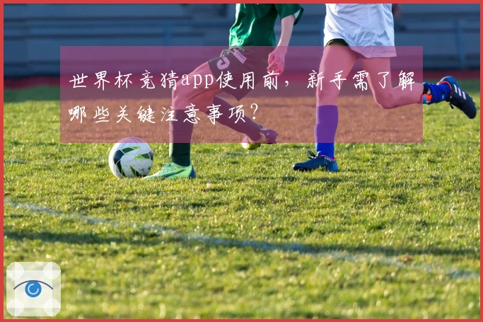 世界杯竞猜app使用前,新手需了解哪些关键注意事项?