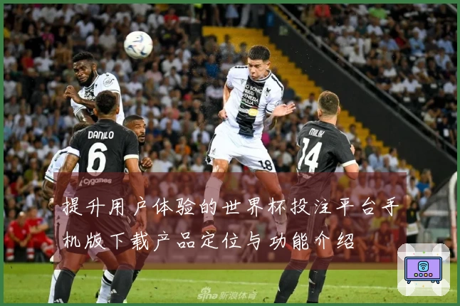 提升用户体验的世界杯投注平台手机版下载产品定位与功能介绍