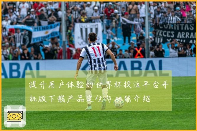 提升用户体验的世界杯投注平台手机版下载产品定位与功能介绍