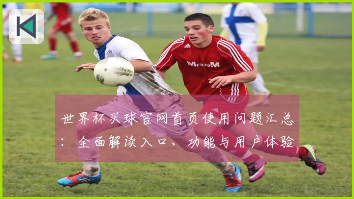 世界杯买球官网首页使用问题汇总：全面解读入口、功能与用户体验