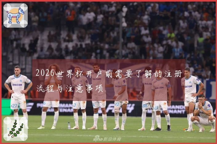 2026世界杯开户前需要了解的注册流程与注意事项
