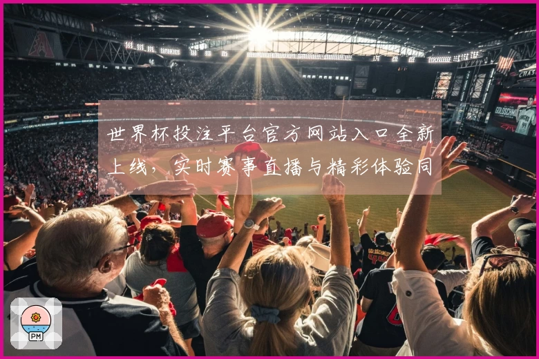 世界杯投注平台官方网站入口全新上线，实时赛事直播与精彩体验同步升级