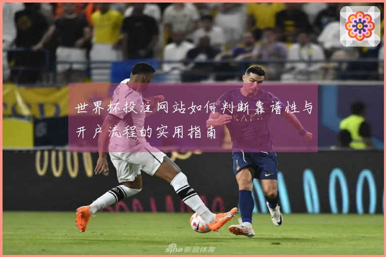 世界杯投注网站如何判断靠谱性与开户流程的实用指南