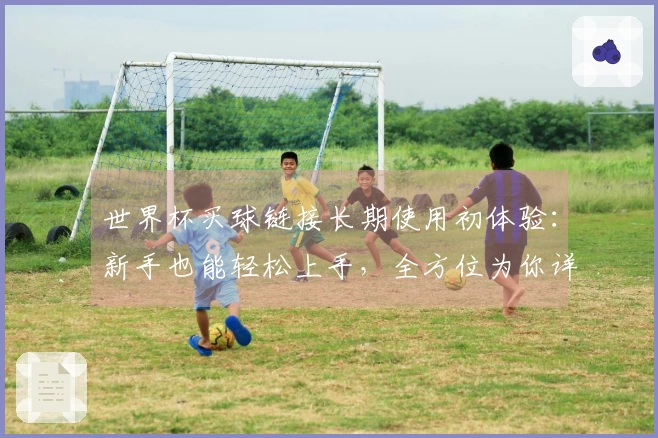 世界杯买球链接长期使用初体验：新手也能轻松上手，全方位为你详解